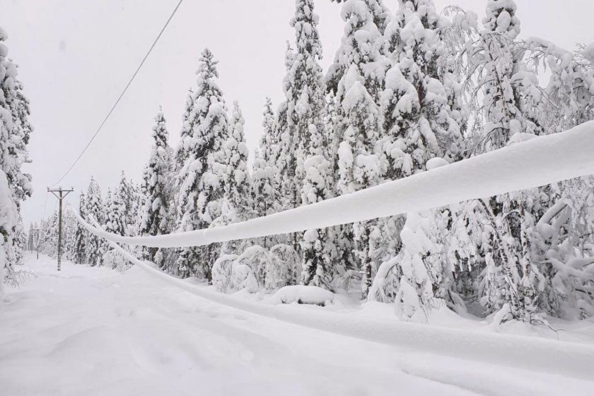 Snötyngda ledningar