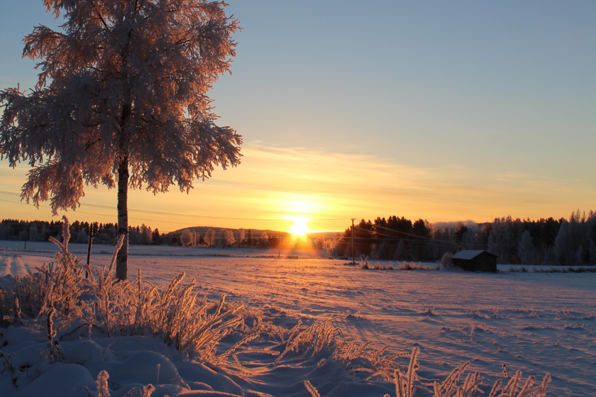 Solnedgång över snöklätt fält
