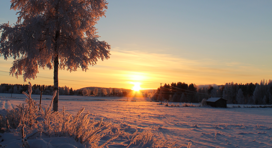Solnedgång över snöklätt fält