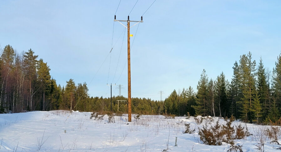 Elledning i skogen med snö