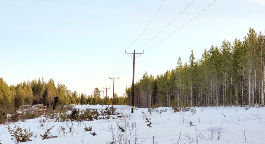 Elledning i skogen med snö