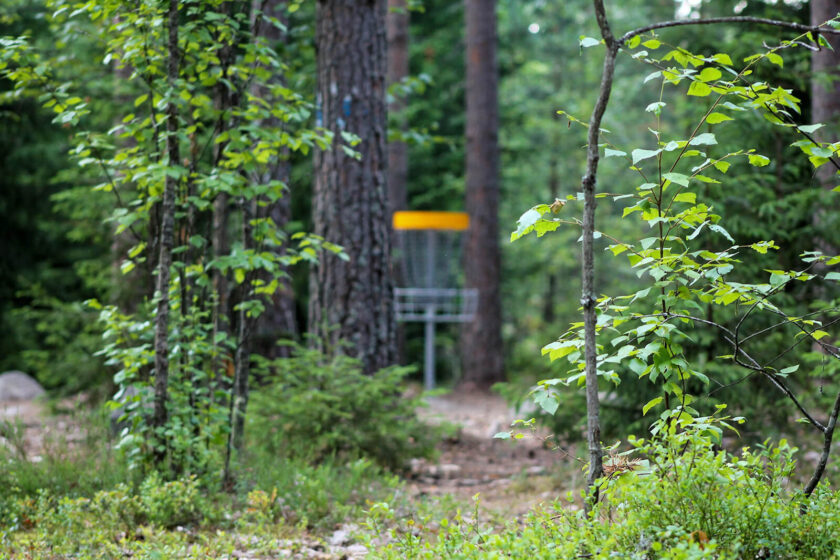 Discgolf korg bakom träden