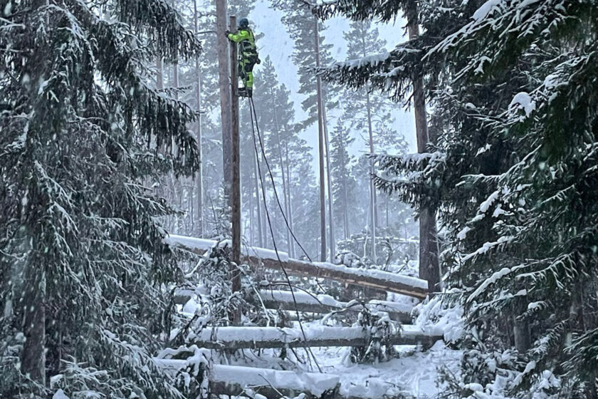 Andreas Bergvall i ledningsstolpe