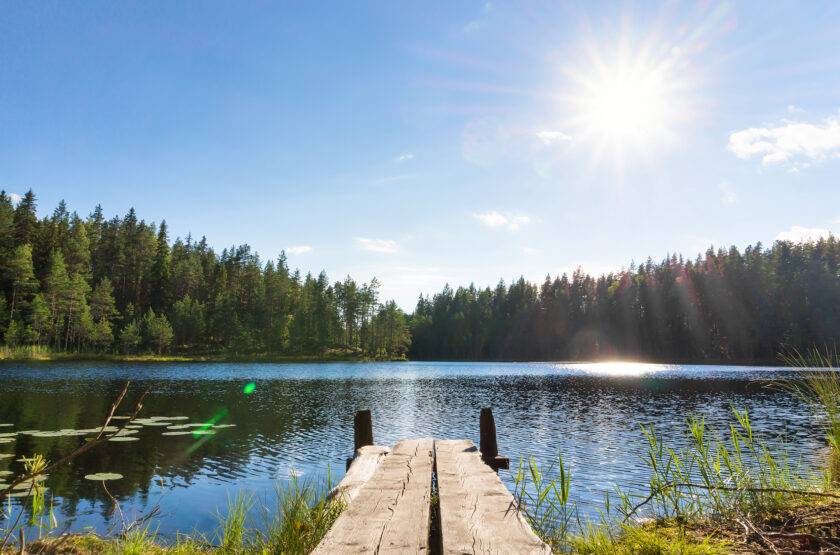 En brygga och en sjö omringad av skog.